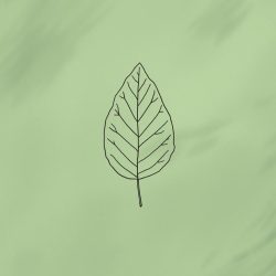 Projekt bez nazwy (41)