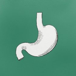 Projekt bez nazwy (42)